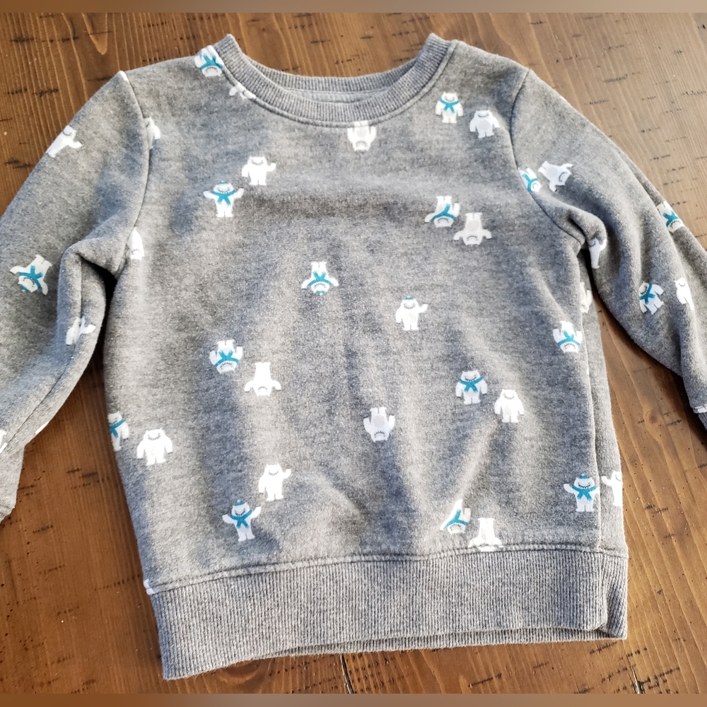 Cat & Jack pullover boy size 2T